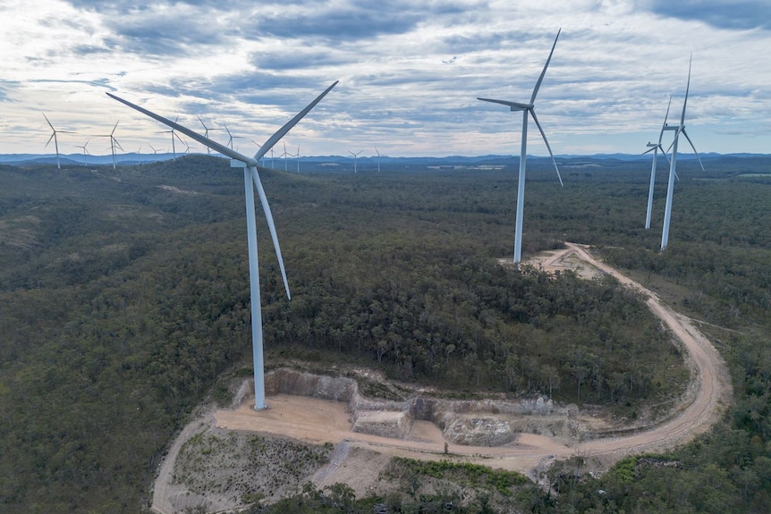 An aerial image of more than a dozen wind turbines. They are surrounded by dense bush. Unsealed roads join some of the turbines.