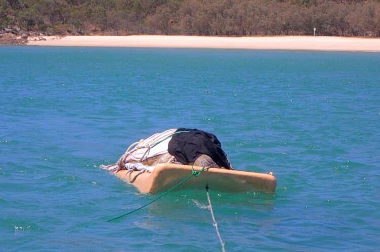 Large turtle secured with rope and towels floats on a bodyboard attached to a rope, towed behind a boat in blue water.