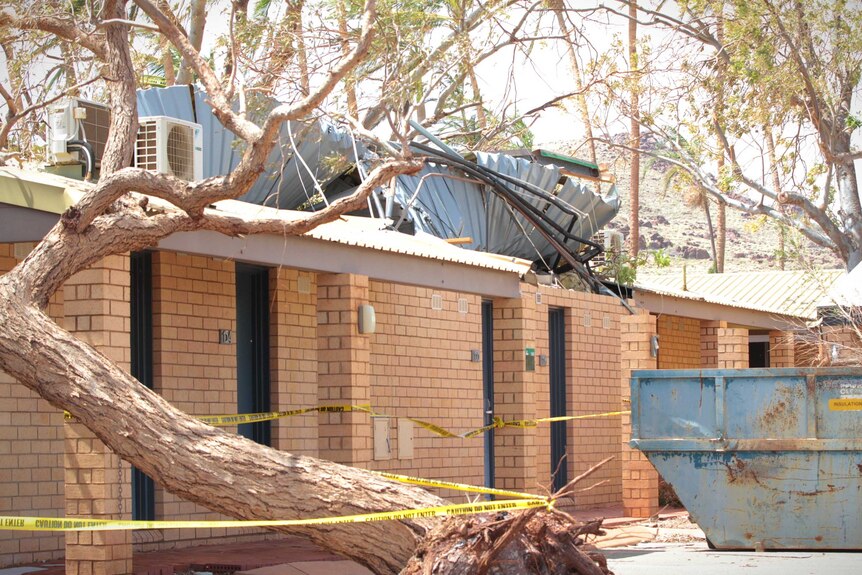 A tree fallen on a building, with twisted roof metal