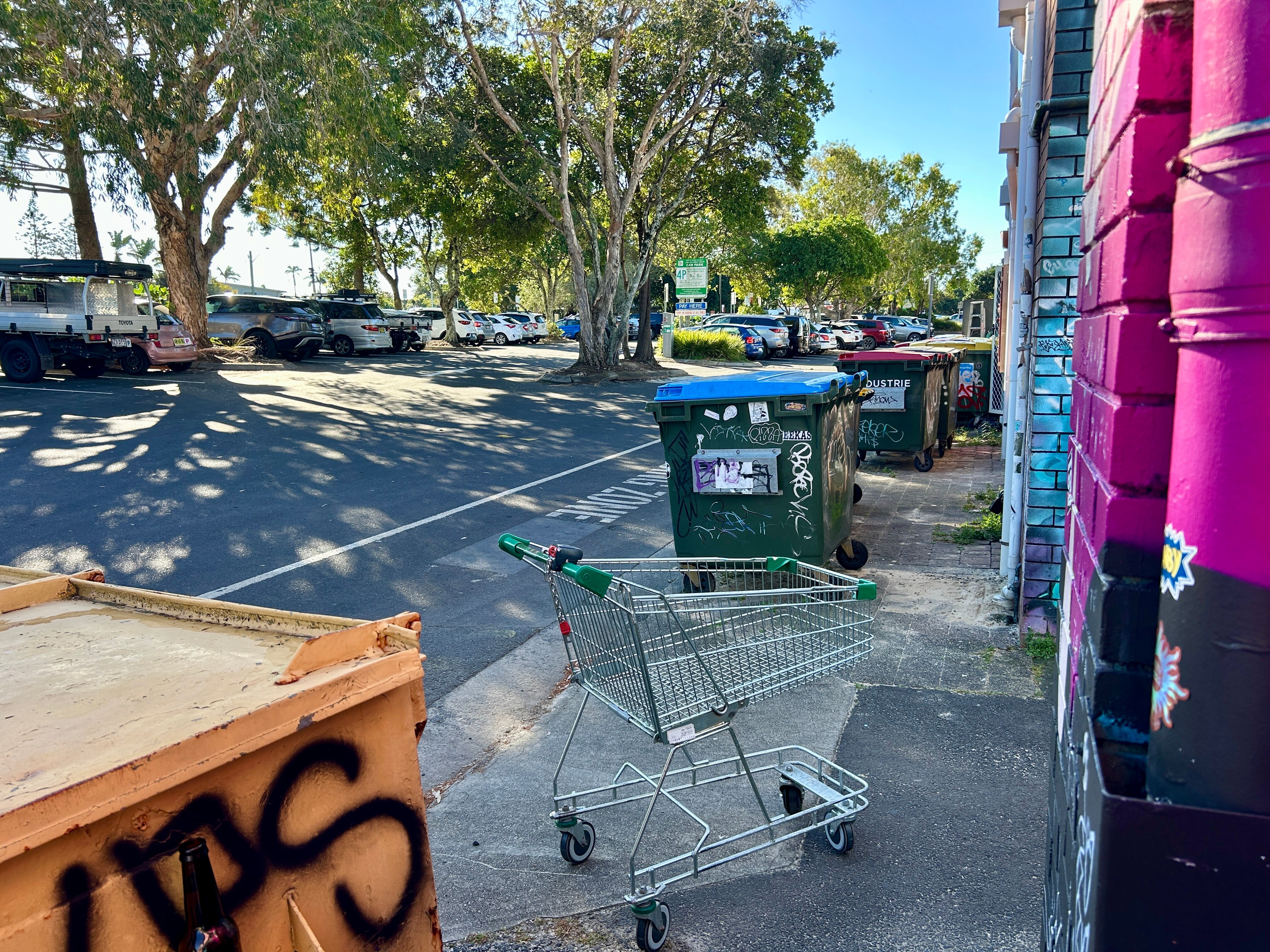 Escena callejera con contenedores de basura y un carro de compras.