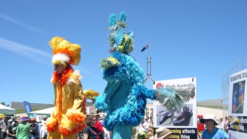 Colourful bird stilt walkers join Walk Against Warming protest outside Parliament House Canberra.