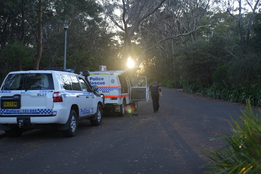 Two police cars parked on a bush road with trees lining the scene