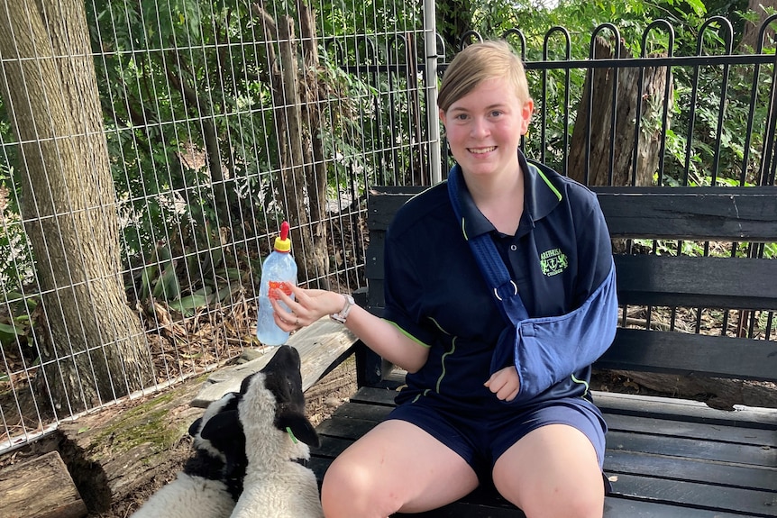 An image of a teenage girl feeding two sheep while sat on a black bench and surrounded by fencing infront of trees