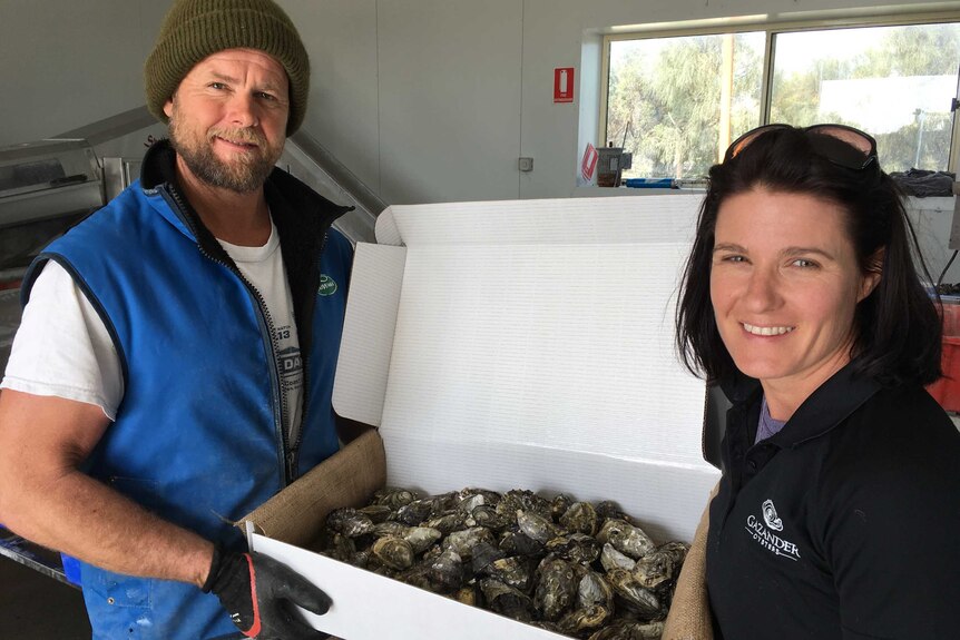 Two oyster growers show a new box that is recyclable to package their oysters in