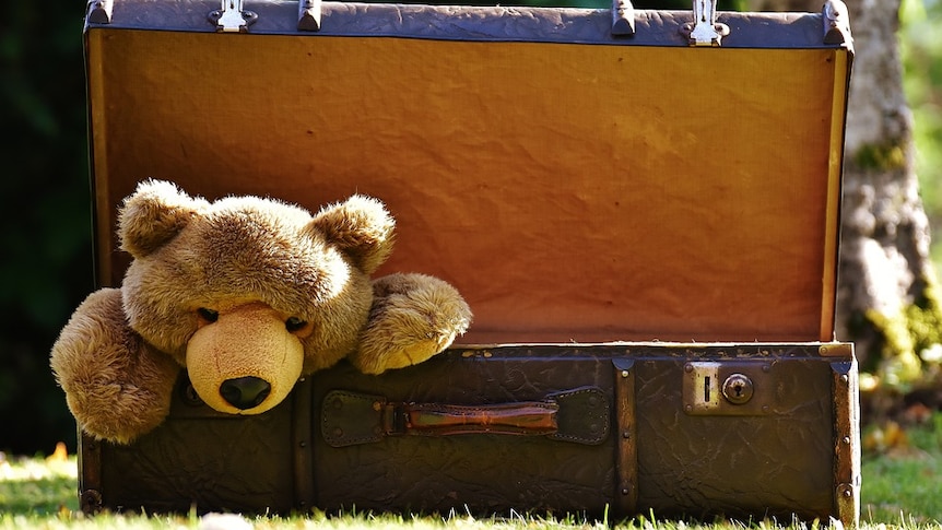 A stuffed teddy in a suitcase