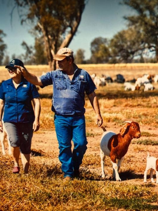 A man and a woman walk in a paddock filled with goats