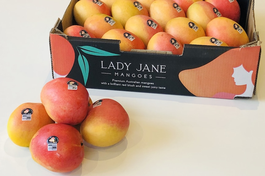 A tray of Lady Jane mangoes