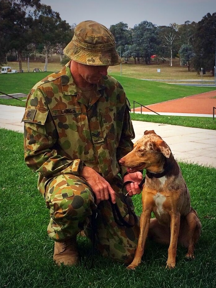 Military dog Bubbles with her handler