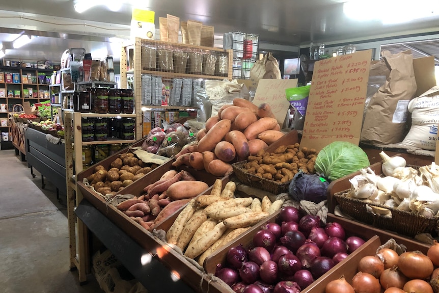 The inside of the store with vegetables in the foreground and packed shelves in the background.