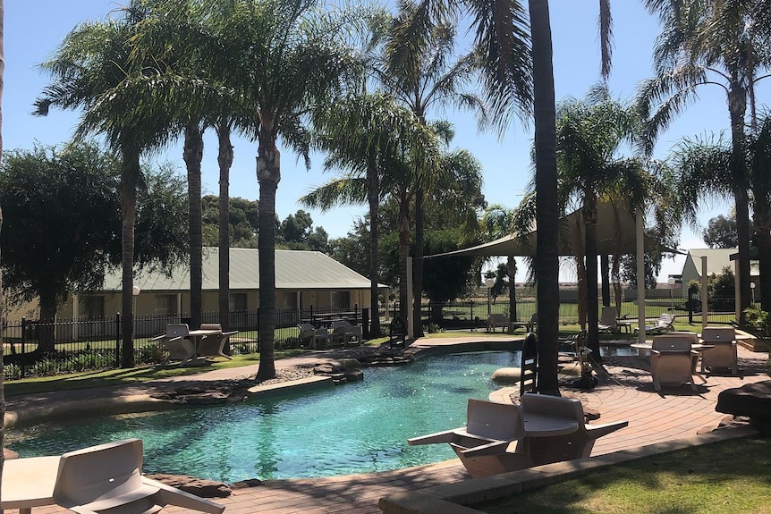 Une piscine calme dans un complexe avec des palmiers