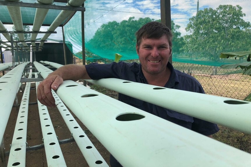 Peter Anderson leans on his hydroponics table