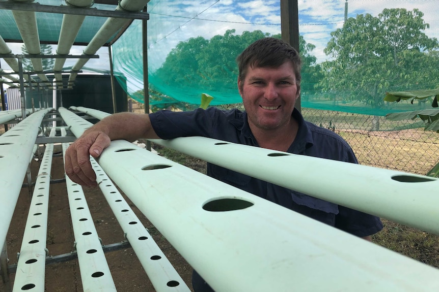 Peter Anderson leans on his hydroponics table