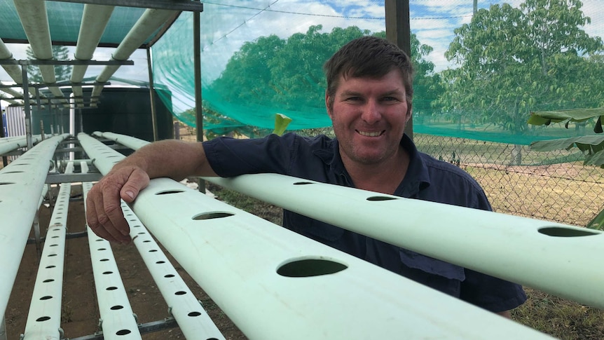 Peter Anderson leans on his hydroponics table.