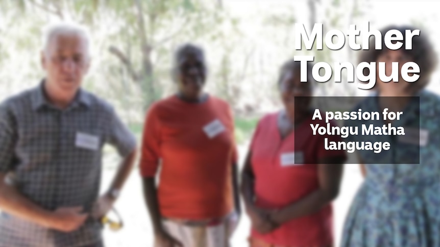 A man and 3 woman stand, text overlay reads 'Mother Tongue A passion for Yolngu Matha language'