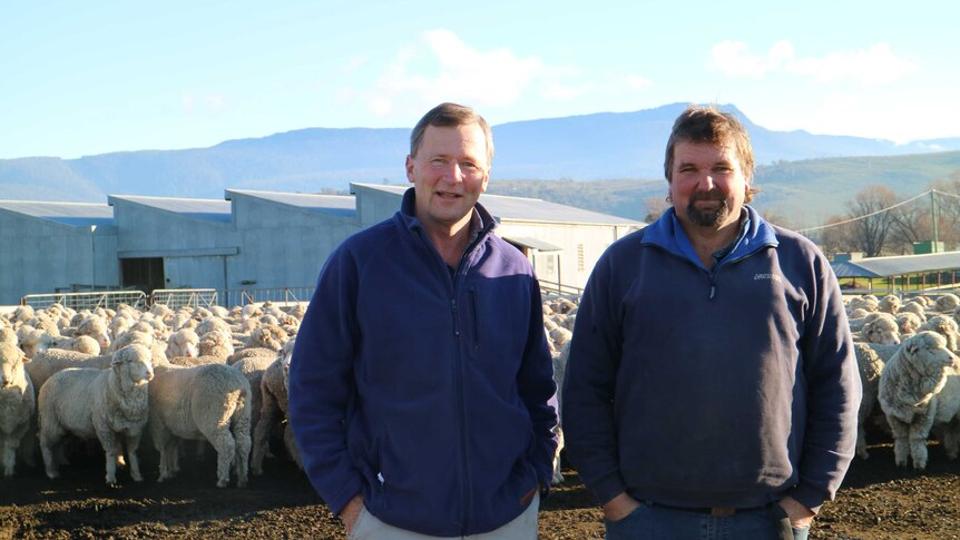 two farmers stand in front of a shearing shed surrounded by sheep