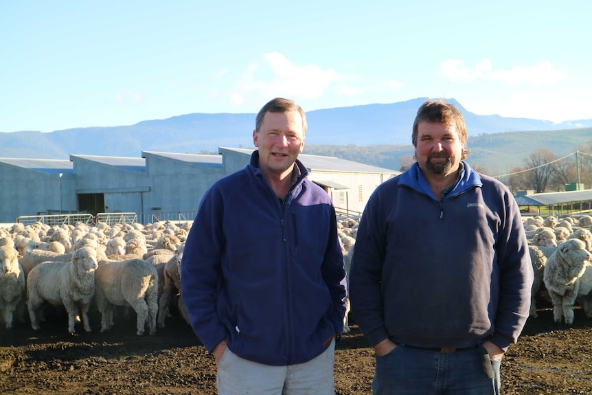 two farmers stand in front of a shearing shed surrounded by sheep