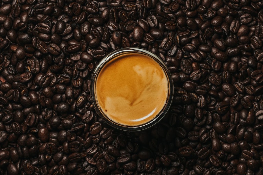 Crema是优质浓缩咖啡表面薄薄的金黄色乳状物。