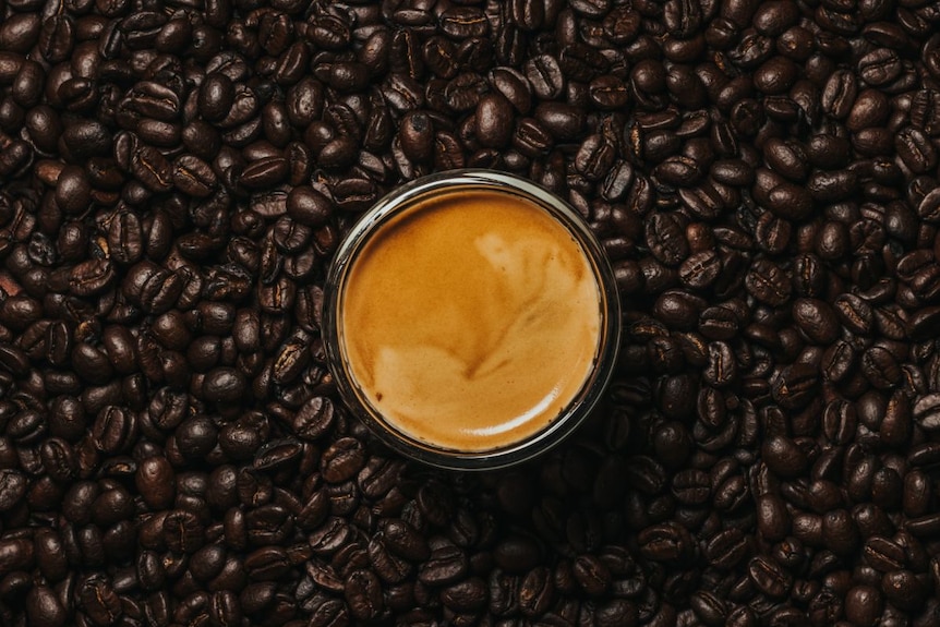 A cup of espresso sits on a surface, surrounded by dark brown coffee beans.