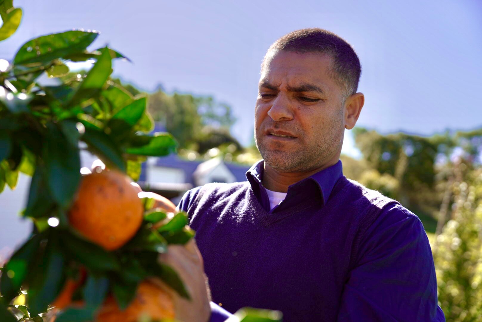 Sami Muamar in his garden