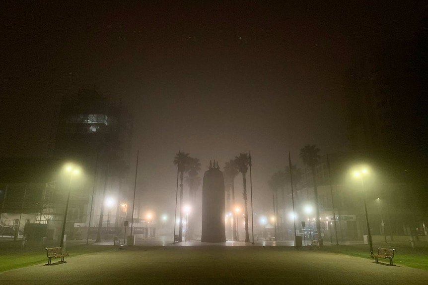 Fog over a monument and palm trees