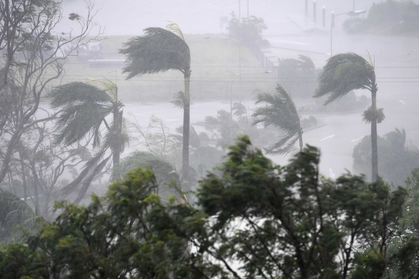 Strong winds and rain lash Airlie Beach on Tuesday morning.