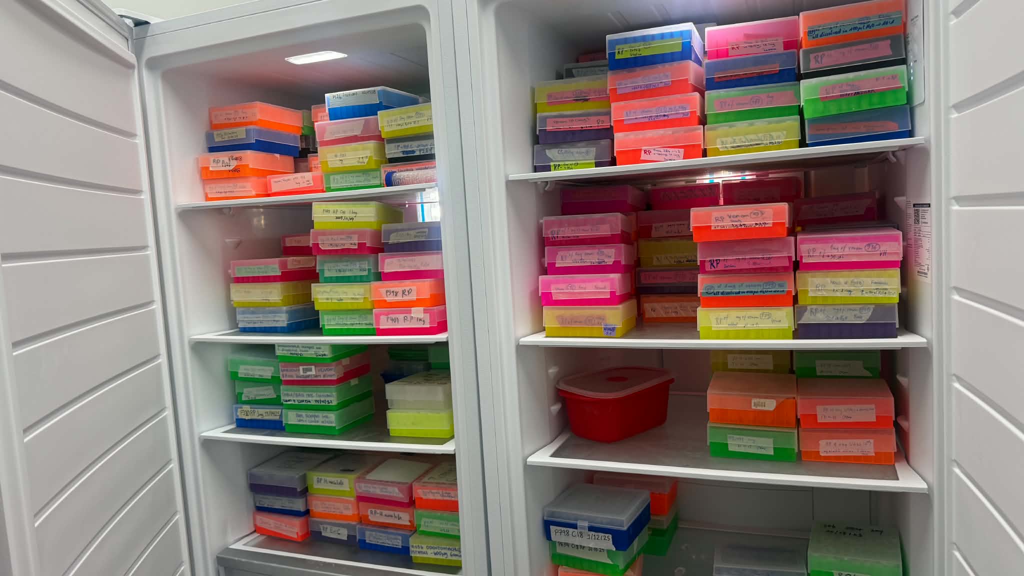 Colourful containers stacked on shelves.