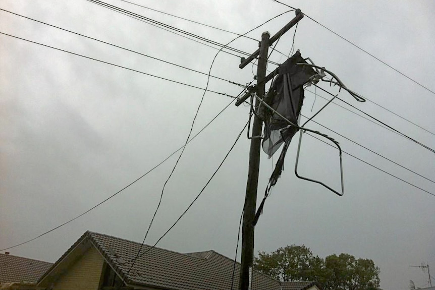 Trampoline on top of power pole