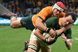 A South African male rugby union player scores a try as he is tackled by a Wallabies opponent.