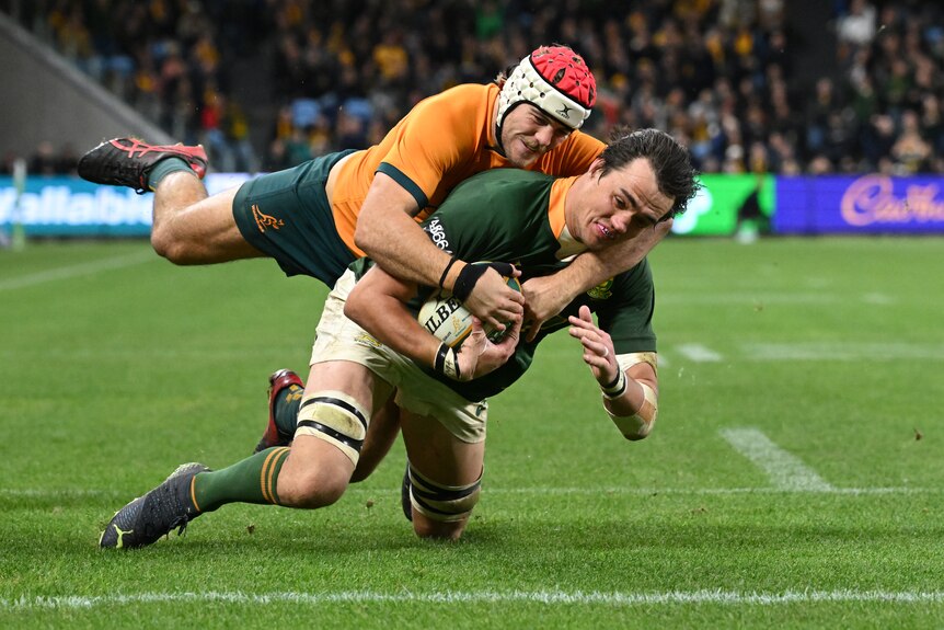 A South African male rugby union player scores a try as he is tackled by a Wallabies opponent.