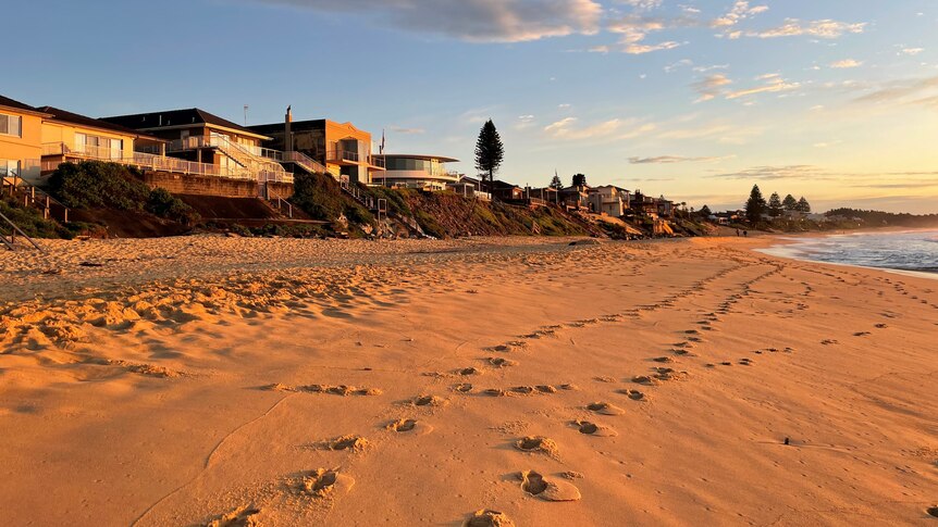 footprints through sand