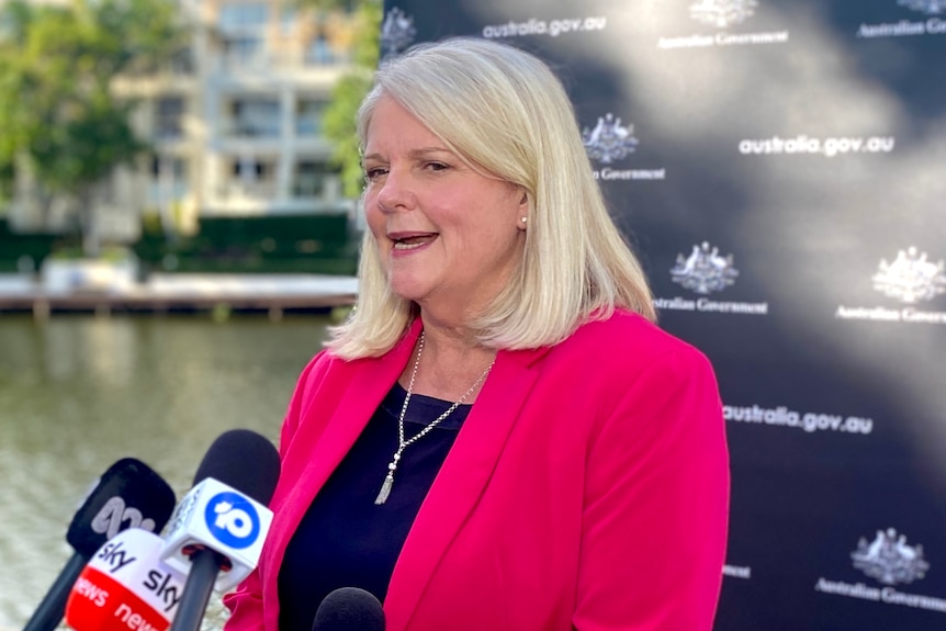 Home Affairs Minister Karen Andrews speaking to the media on Queensland's Gold Coast.