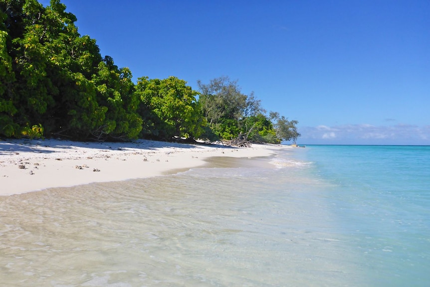 North West Island off Gladstone in Queensland.