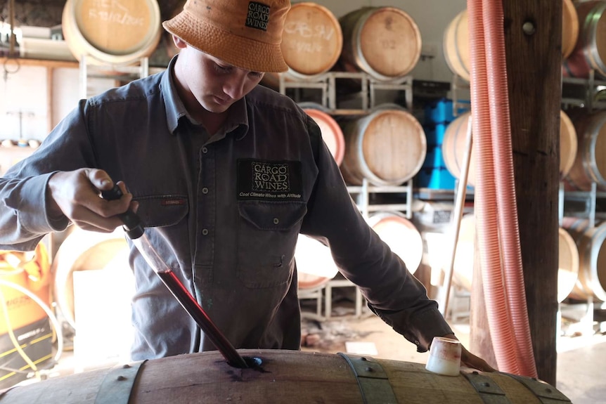 Italian winemaker checking Australian wine