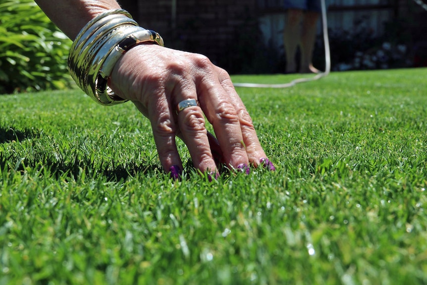 Anne Dimov inspecting her lawn