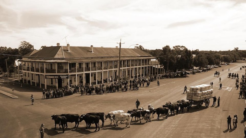 A black and white photograph of a bullock dray in a town main street