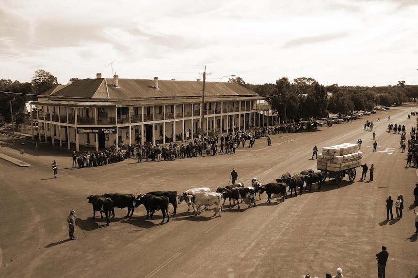 A black and white photograph of a bullock dray in a town main street