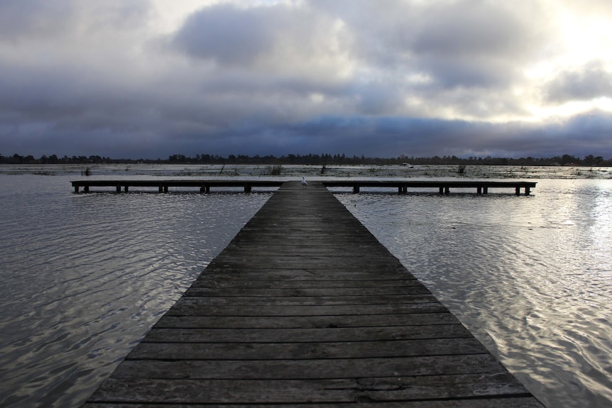 Lake Wendouree