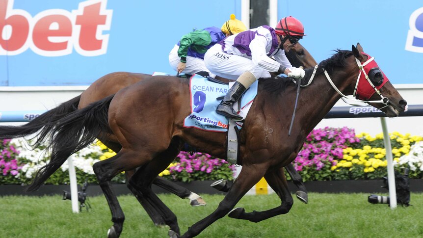 Ocean Park takes out Cox Plate