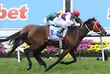 Ocean Park takes out Cox Plate