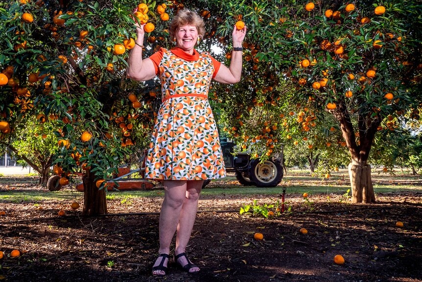 A woman stands in an orange grove holding oranges.