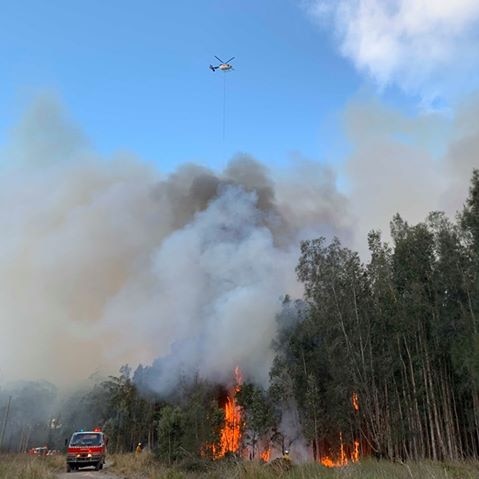 Trees on fire as fire crews present on the ground and a helicopter water bombing overhead