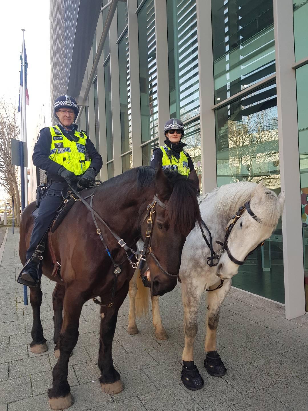 Meet Me On The Corner: Perth Mounted Police - ABC Perth