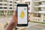 A photo of a hand holding a smartphone with the yellow Koo bird on the screen.