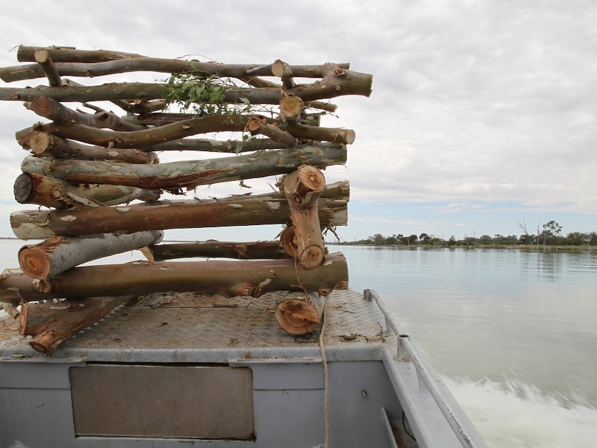 logs in a cube shape structure on bow of boat