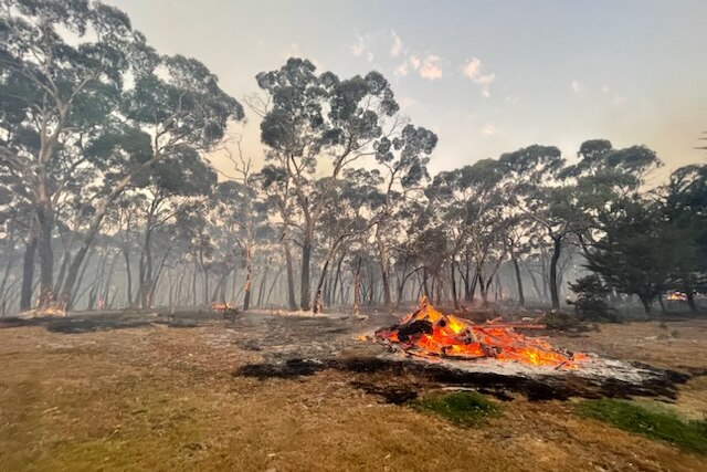 A bushfire near the Victorian town of Dereel