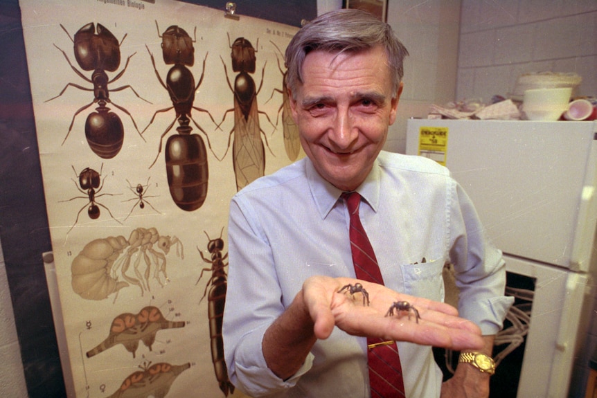 A man poses for a portrait while holding model ants