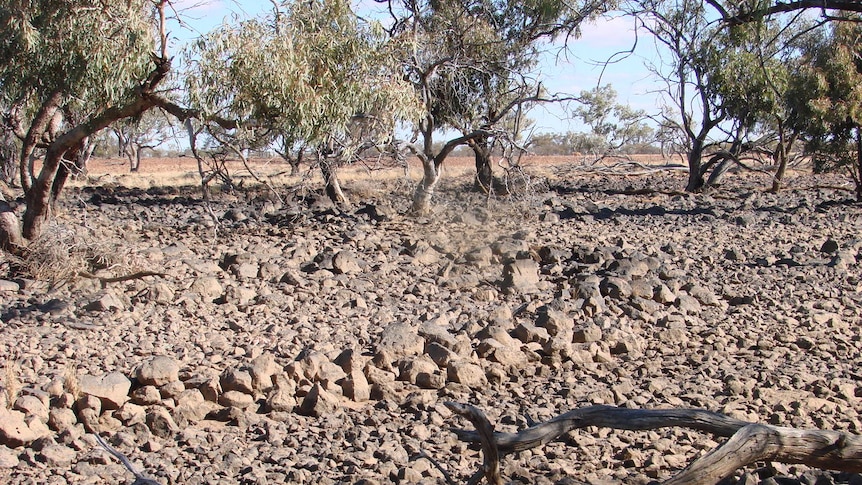 Fish trap on Piastre Station