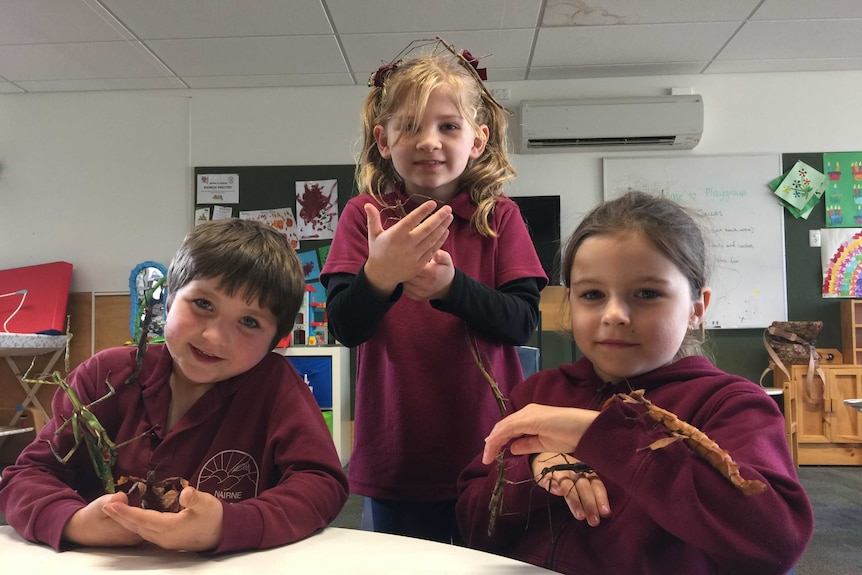 Three young primary school students with stick insects crawling and climbing on their heads, arms and hands.
