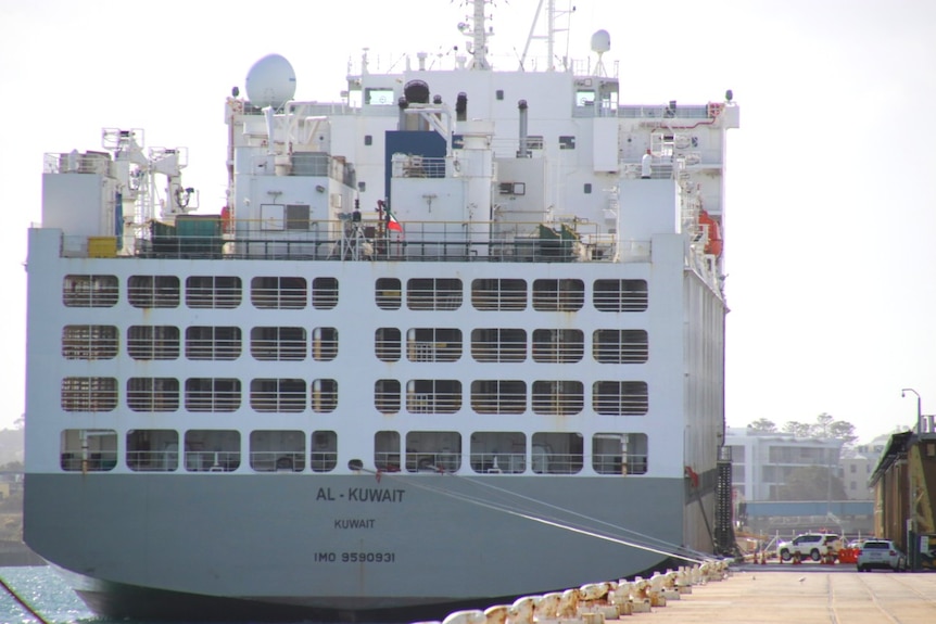 A grey and white live export ship sitting in dock at Fremantle Port.