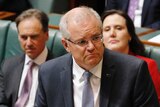 Scott Morrison stands at the despatch box frowning during Question Time